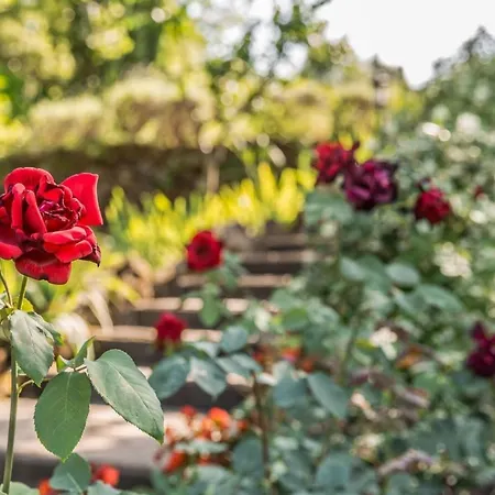 Torre Del Cielo Villa *